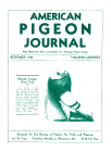 Magazine Cover